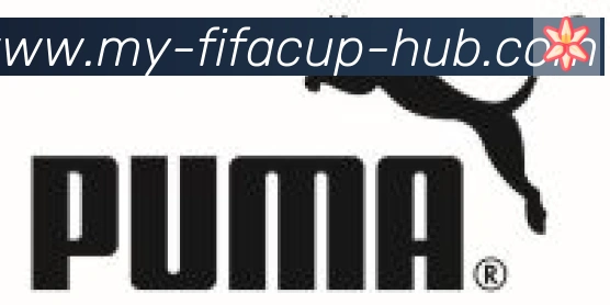 世界杯实时竞猜入口合作伙伴